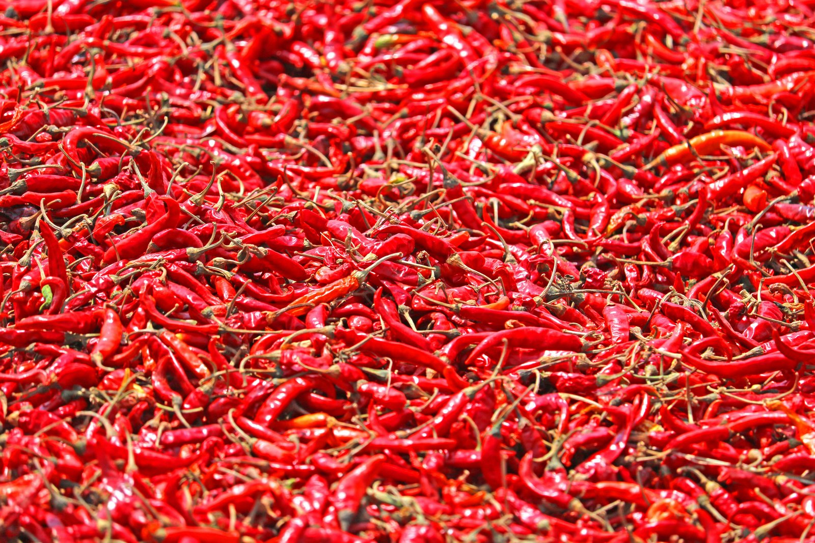 Whole chillies